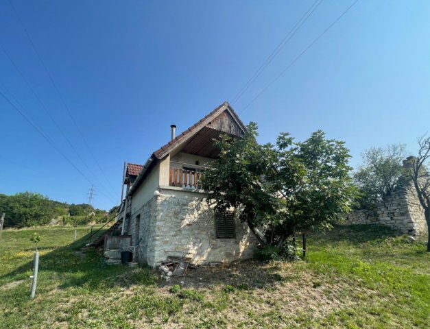 Eladó telek, Balatonszőlősön 49.99 M Ft / költözzbe.hu