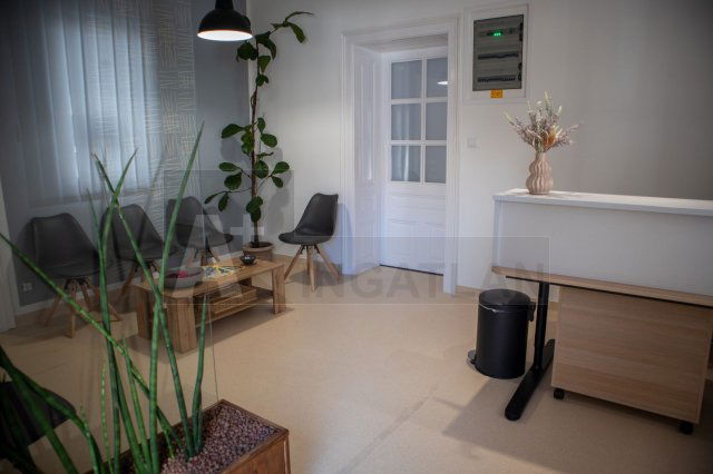 Kiadó üzlethelyiség, Szegeden 100 E Ft / hó