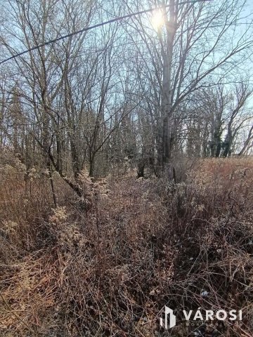 Eladó telek, Dömsödön 9.9 M Ft / költözzbe.hu