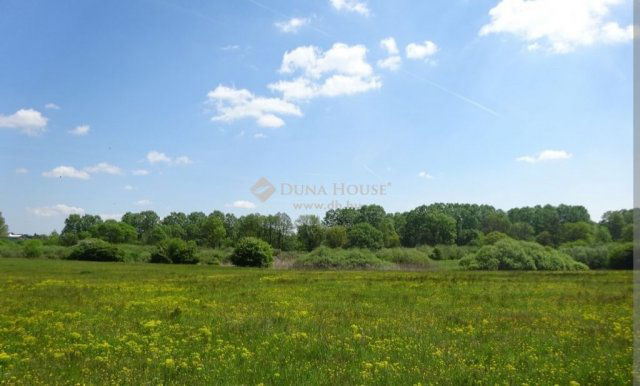 Eladó telek, Regenyén 3.5 M Ft / költözzbe.hu