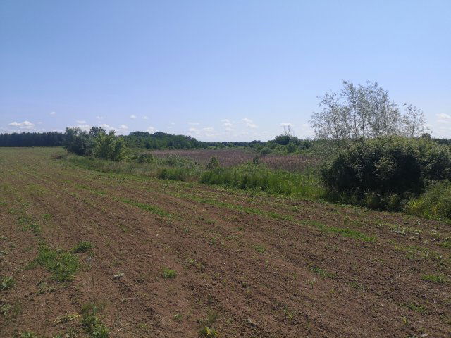 Eladó ipari ingatlan, Jándon 249 M Ft / költözzbe.hu