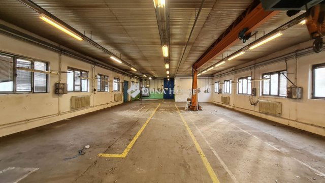 Kiadó ipari ingatlan, Zalaegerszegen 782 E Ft / hó