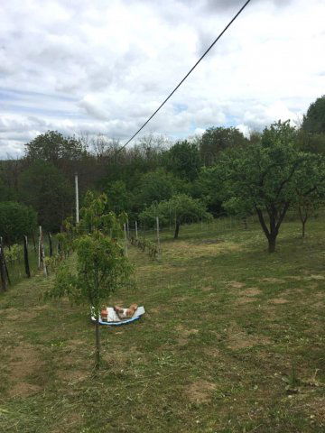 Eladó nyaraló, Nagykanizsán 25 M Ft, 1 szobás