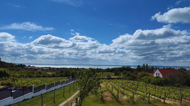 Eladó telek, Felsőörsön 69.9 M Ft / költözzbe.hu