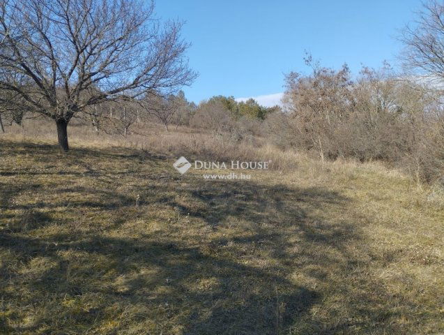 Eladó telek, Iszkaszentgyörgyön 16.5 M Ft / költözzbe.hu