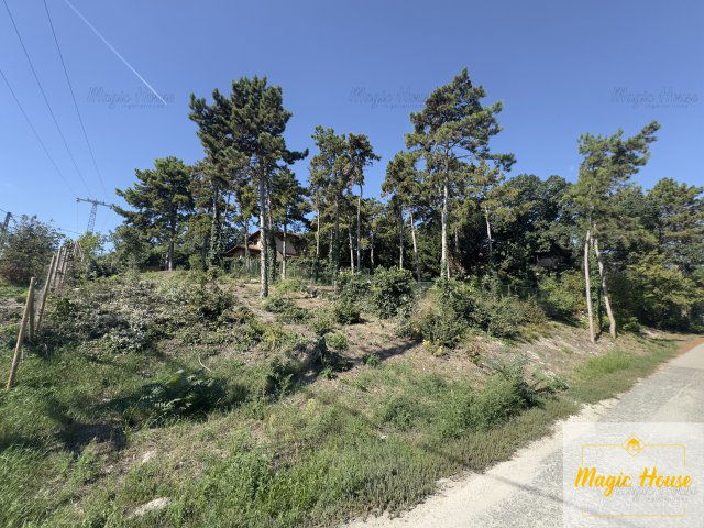 Eladó telek, Diósdon 120 M Ft / költözzbe.hu