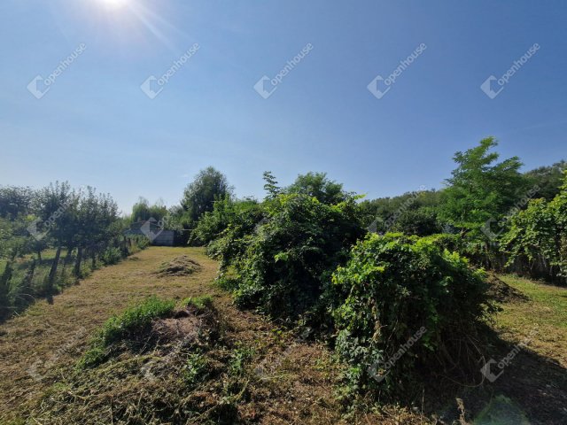 Eladó családi ház, Nagyigmándon 25 M Ft, 2 szobás
