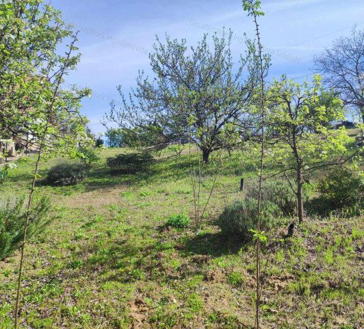 Eladó mezogazdasagi ingatlan, Mogyoródon 19.9 M Ft