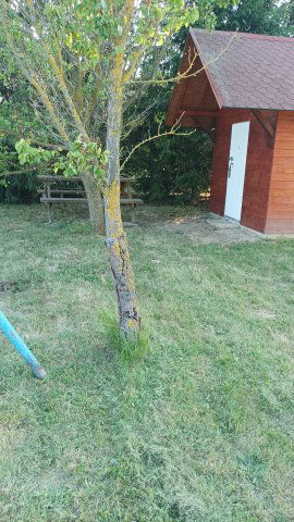 Eladó telek, Pápán 2.5 M Ft / költözzbe.hu