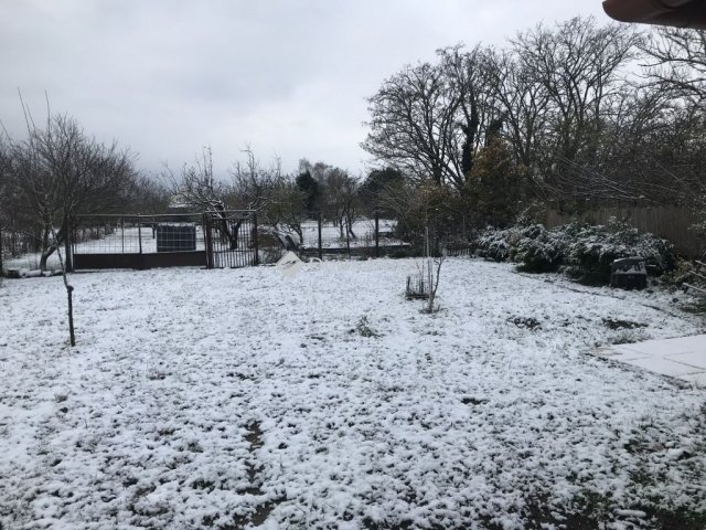 Eladó családi ház, Mohán 92.9 M Ft, 5 szobás