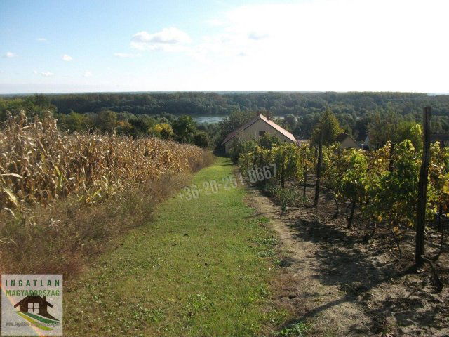 Eladó családi ház, Dunaszekcsőn 23.5 M Ft, 4 szobás