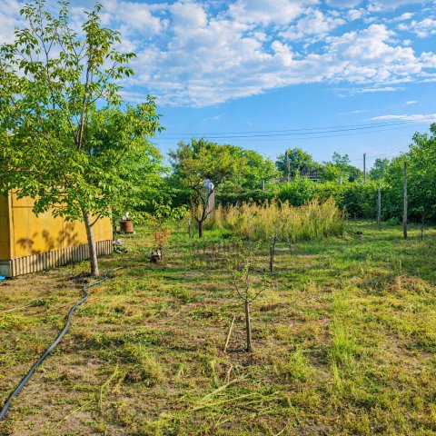 Eladó telek, Nagykőrösön 3.5 M Ft / költözzbe.hu