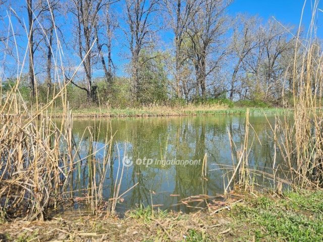 Eladó nyaraló, Dömsödön 21.9 M Ft, 1+1 szobás