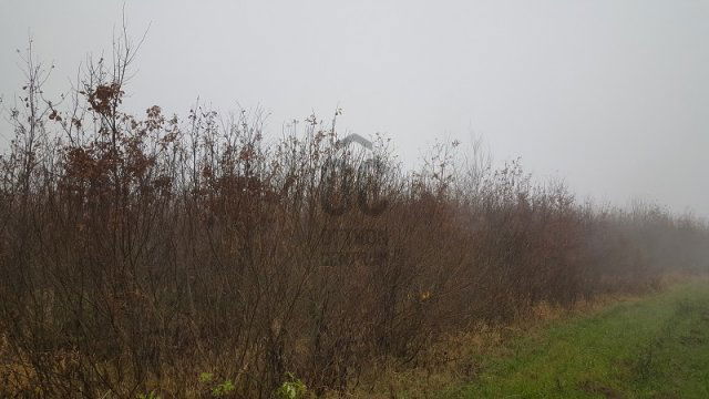 Eladó mezogazdasagi ingatlan, Márokpapin 5.8 M Ft