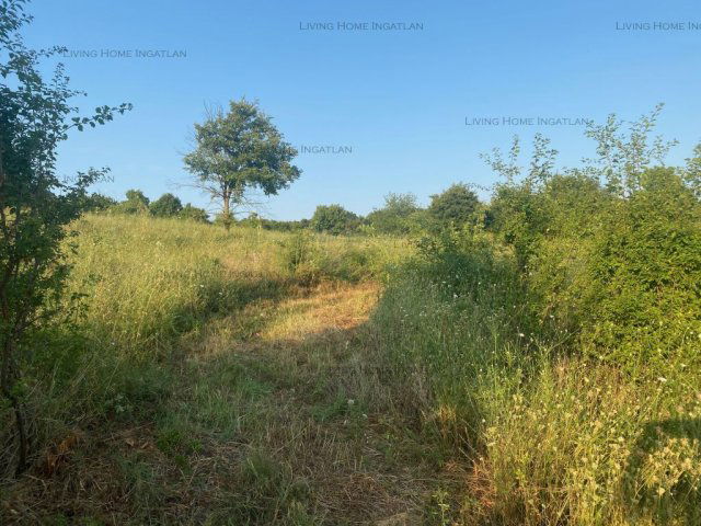 Eladó telek, Szentendrén 15.8 M Ft / költözzbe.hu