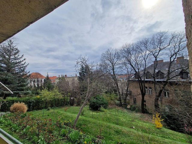 Kiadó téglalakás, albérlet, II. kerületben, Ribáry utcában