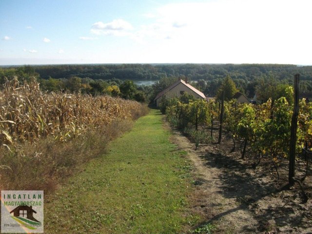 Eladó családi ház, Dunaszekcsőn 23.9 M Ft, 4 szobás