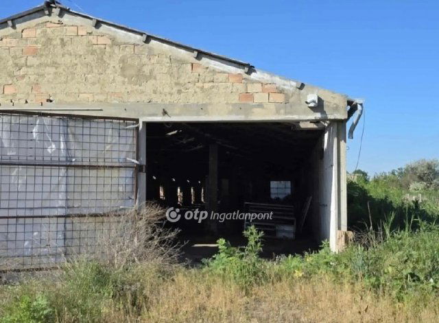 Eladó mezogazdasagi ingatlan, Besenyszögön 95 M Ft