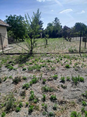 Eladó családi ház, Kecskeméten 47.9 M Ft, 2 szobás