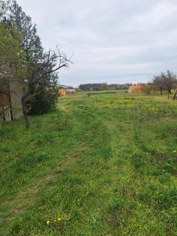 Eladó telek, Tiszaföldváron 2.6 M Ft / költözzbe.hu