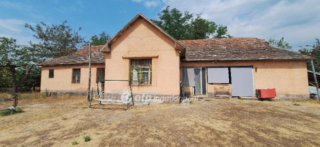 Eladó mezogazdasagi ingatlan, Orgoványon 18.9 M Ft, 3 szobás