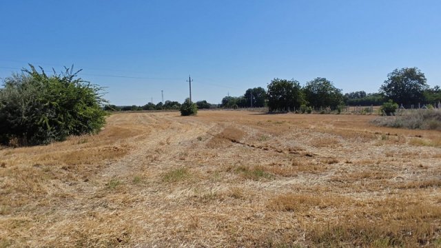 Eladó telek, Pilisen 9 M Ft / költözzbe.hu
