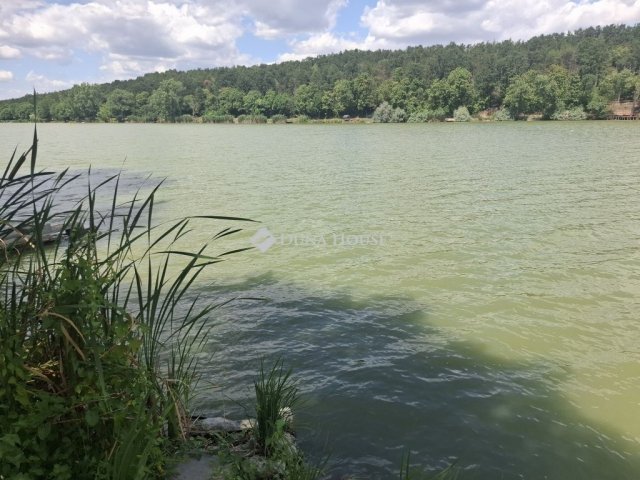 Eladó mezogazdasagi ingatlan, Gombán 27.5 M Ft, 2 szobás