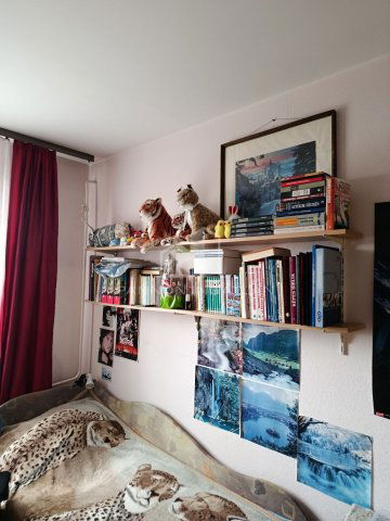 Eladó panellakás, Ajkán 41.9 M Ft, 1+2 szobás