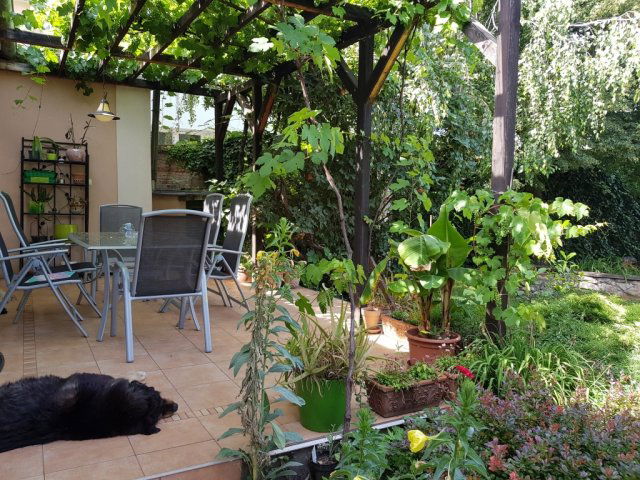 Eladó családi ház, Nyíregyházán 99 M Ft, 3 szobás