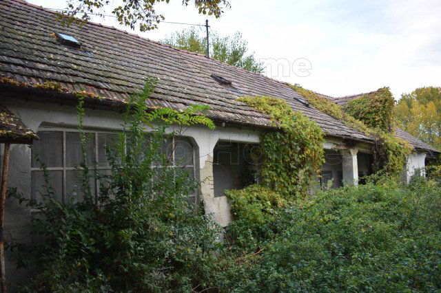 Eladó családi ház, Veszprémvarsányon 20 M Ft, 4 szobás