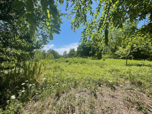 Eladó mezogazdasagi ingatlan, Győrújbaráton 10.99 M Ft