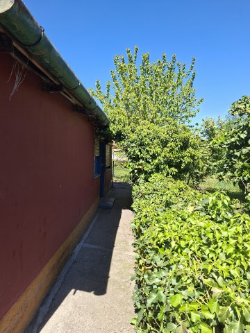 Eladó családi ház, Szolnokon 12.9 M Ft, 2 szobás