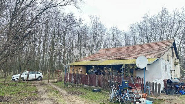 Eladó mezogazdasagi ingatlan, Nagykőrösön 12 M Ft, 2 szobás