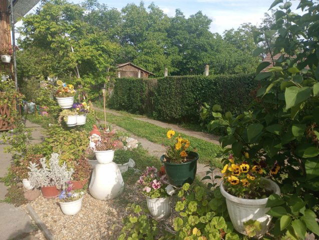 Eladó családi ház, Dormándon 40 M Ft, 6 szobás