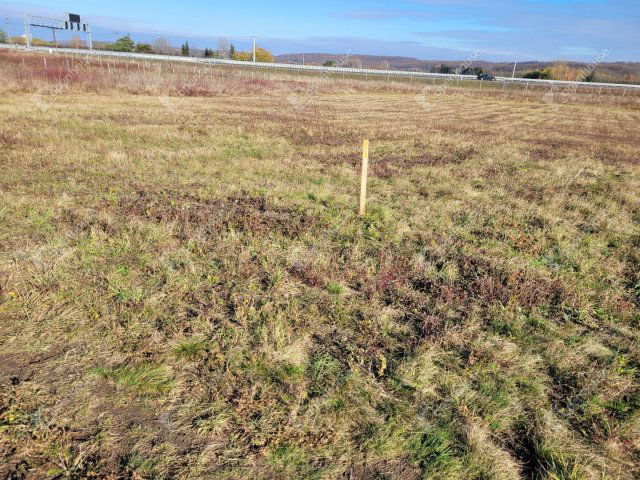 Eladó telek, Sopronban 15.9 M Ft / költözzbe.hu