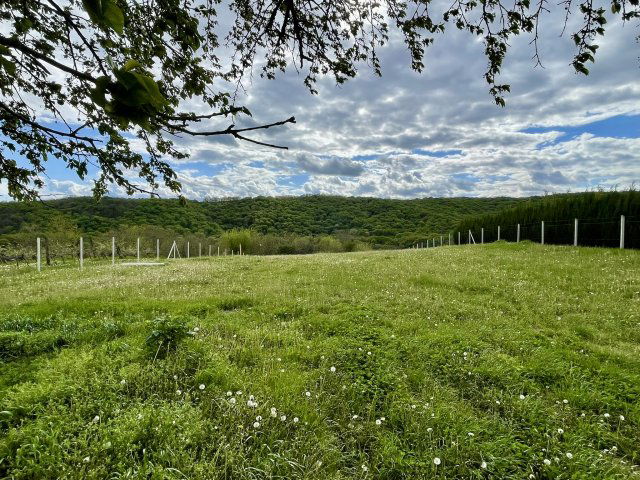 Eladó mezogazdasagi ingatlan, Zalacsányon 7.99 M Ft
