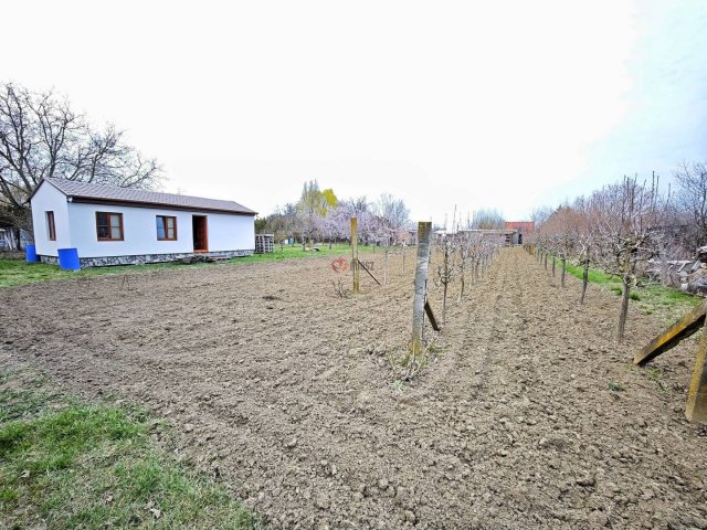 Eladó mezogazdasagi ingatlan, Szegeden, Föld utcában 25 M Ft