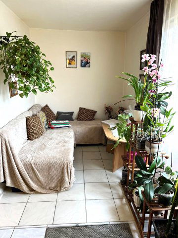 Eladó családi ház, Kisjakabfalván 37 M Ft, 4 szobás