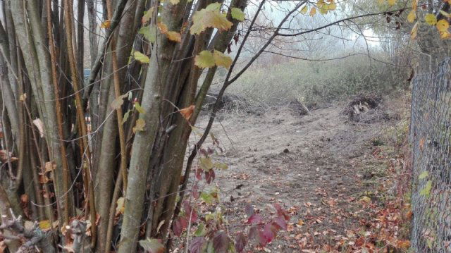 Eladó telek, Ráckevén 5.6 M Ft / költözzbe.hu