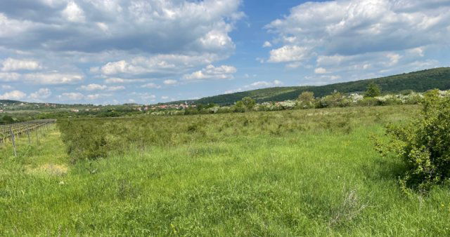 Eladó telek, Dörgicsén 44.5 M Ft / költözzbe.hu