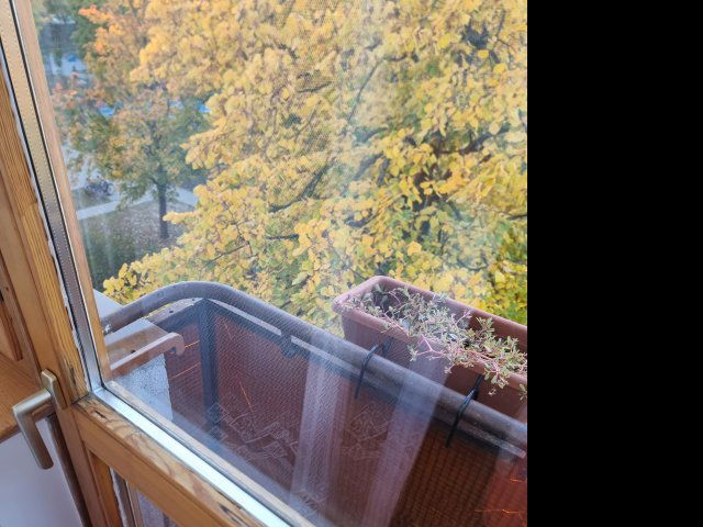 Kiadó téglalakás, albérlet, Debrecenben 185 E Ft / hó, 2 szobás