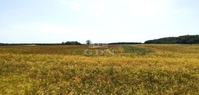 Eladó ipari ingatlan, Vácon 63.867 M Ft / költözzbe.hu