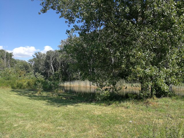 Eladó telek, Dunaszigeten 79 M Ft / költözzbe.hu