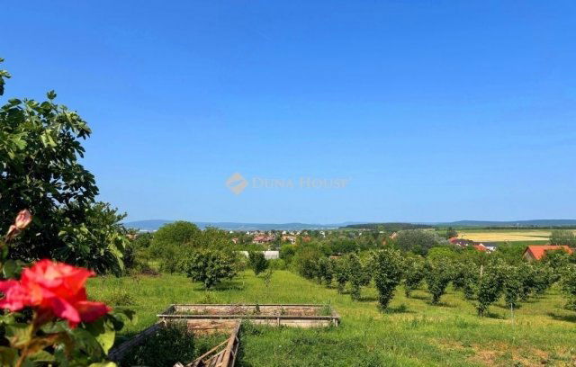 Eladó családi ház, Etyeken 220 M Ft, 4 szobás