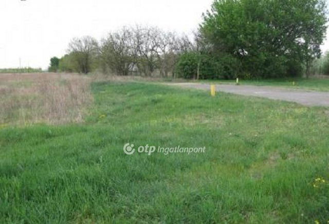 Eladó telek, Röszkén 99.9 M Ft / költözzbe.hu