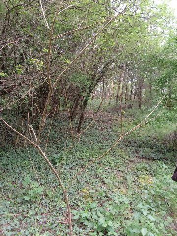 Eladó mezogazdasagi ingatlan, Nagykanizsán 3.99 M Ft