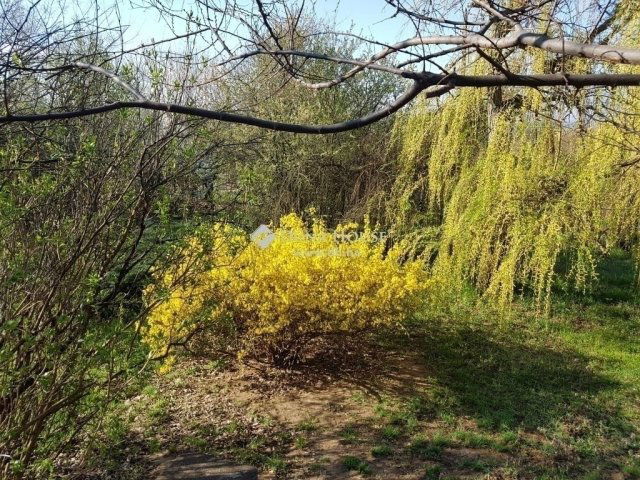 Eladó családi ház, Fóton 270 M Ft, 6 szobás