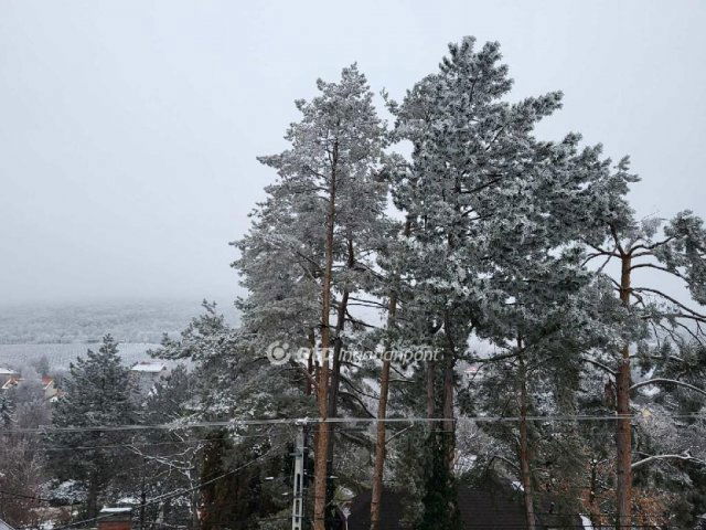 Eladó családi ház, Telkin 225 M Ft, 5+1 szobás