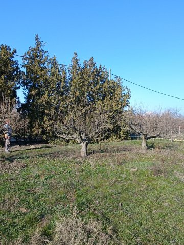 Eladó telek, Érden 14.99 M Ft / költözzbe.hu