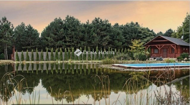 Eladó családi ház, Kecskeméten 400 M Ft, 10 szobás